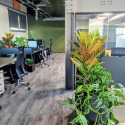 Greenday Paytech