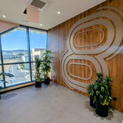 Plants For Office Gr8 Tech