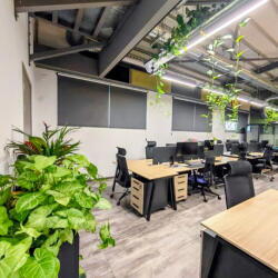 Plants For Offices Fintech Office Interior Greenery